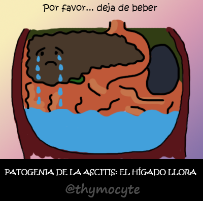 thymocyte's tweet photo. PATOGENIA DE LA ASCITIS: EL HÍGADO LLORA http://t.co/U5Njv75Wa8