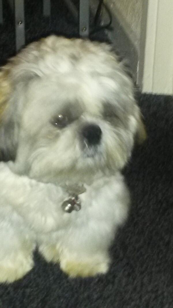 Snappa71 tweet picture