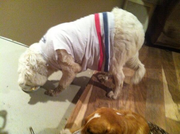 elboudreau's tweet photo. beer head lincoln #dressup http://t.co/ChAS11GOLA