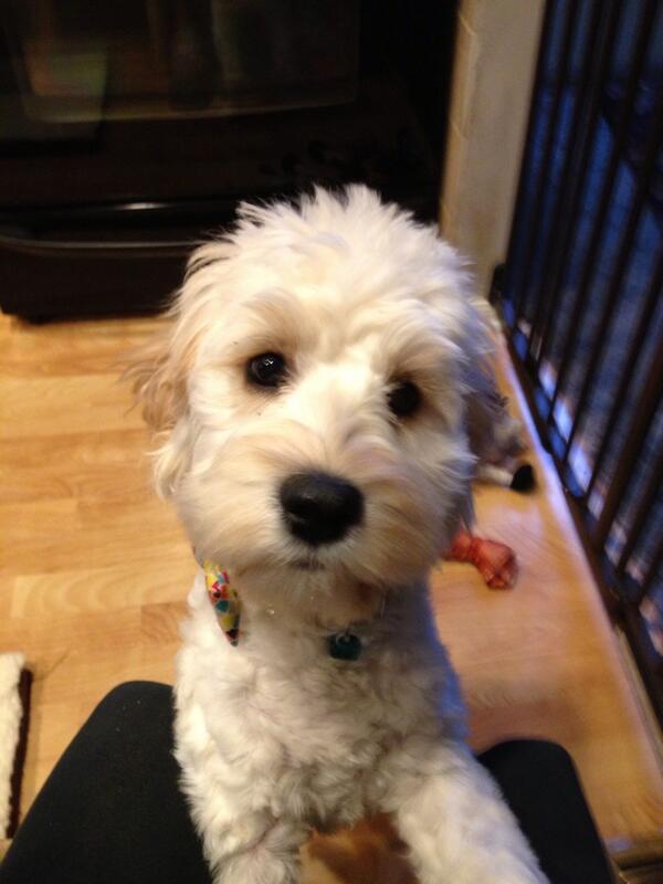 Agapi43's tweet image. 