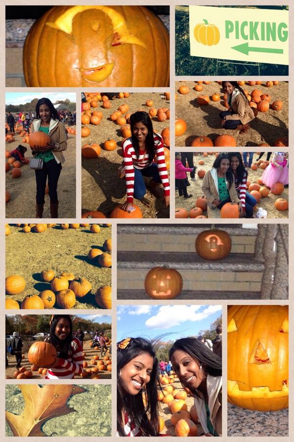 a_Mandi_5's tweet photo. Nice collage! http://t.co/U7C3ngN54e http://t.co/yCQ9BMwpIu