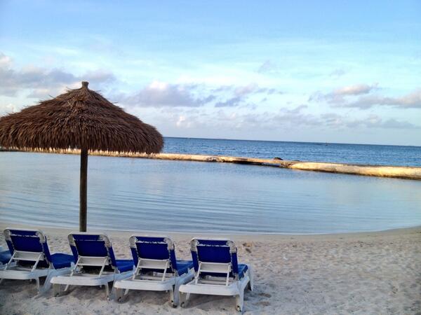 Agapi43's tweet image. 