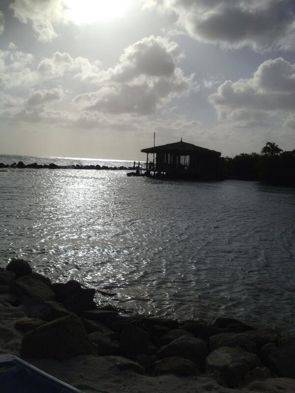 Agapi43's tweet image. 