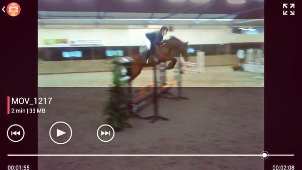 Exodus (Clinton x Quidam de Revel)en <a href="/ElineKruitbos/">eline</a>  eerste keer concours.