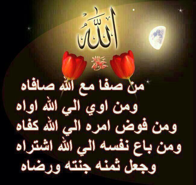 رابط دائم للصورة المُضمّنة