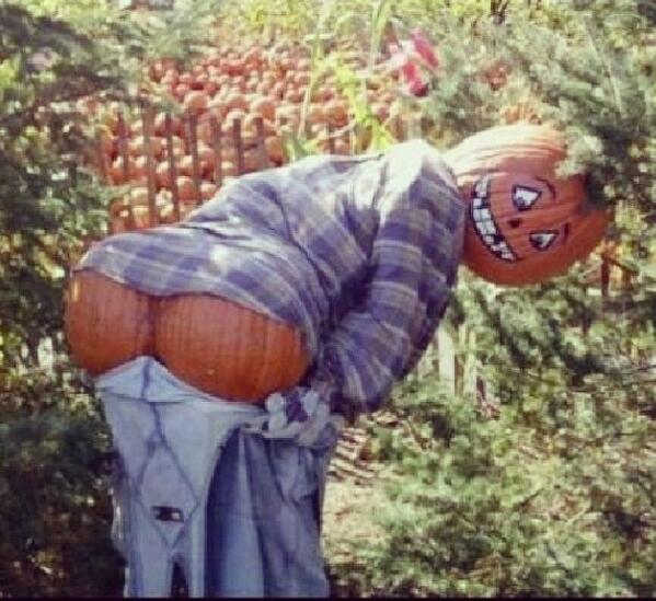 Harriet_Brice's tweet photo. : Happy Halloween ☺  🎃🎃 http://t.co/gOCrg1L2uv