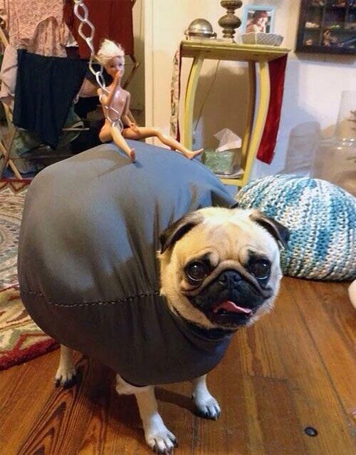 djnackers's tweet photo. #happyhalloween @Mel_Kel87 http://t.co/G6t6AsPPfI