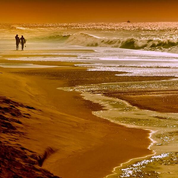 Have You Been Here? tweet media