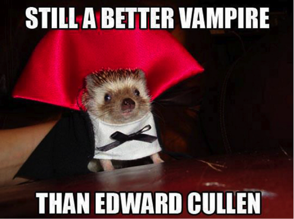 FlyingCowCafe's tweet photo. Hope you have a happy Halloween! http://t.co/xJUNfSZoOU