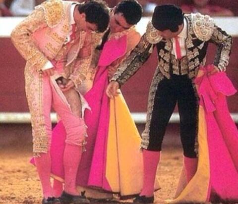 inspiraties's tweet image. Deze #toreadors zullen vanaf heden ook meer ontzag hebben voor de stier als wezen. #pielemous    au... ;/)