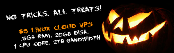 DedicatedNOW tweet media