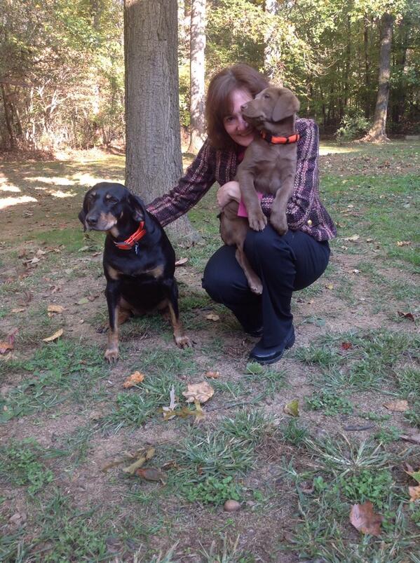GetlitDavid's tweet photo. Our newest family member.  Mousse http://t.co/1oxyrIilMO