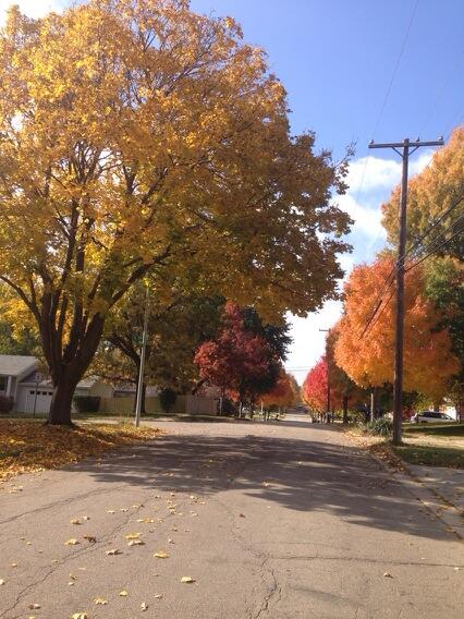 This is my street. Fall is my favorite! #NebraskaLove