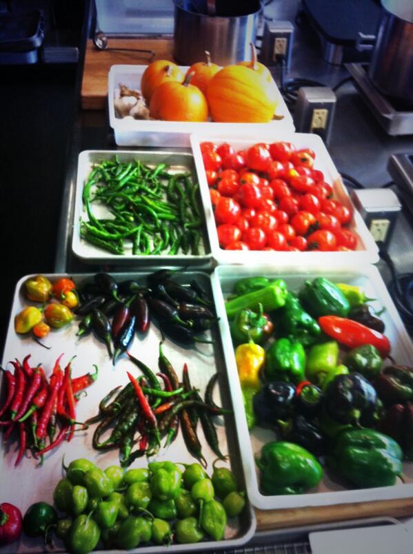 StagesAtOneWA's tweet image. #Dover-Dover connection has started From Nature's Farm this showed up today: @EvanHennessey makin #localfood moves