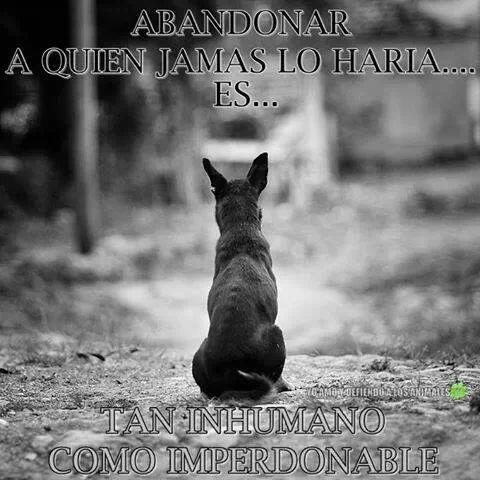 LalyCalder's tweet image. 