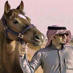 alassi_al tweet picture