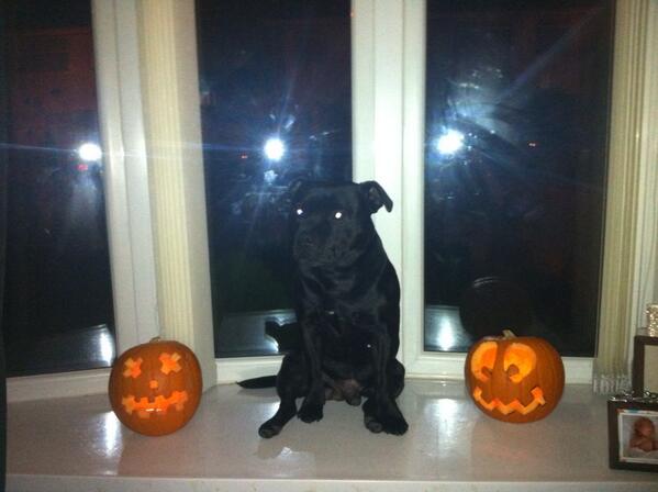 R mac loving Halloween