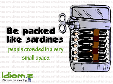 Resultado de imagem para packed in like sardines