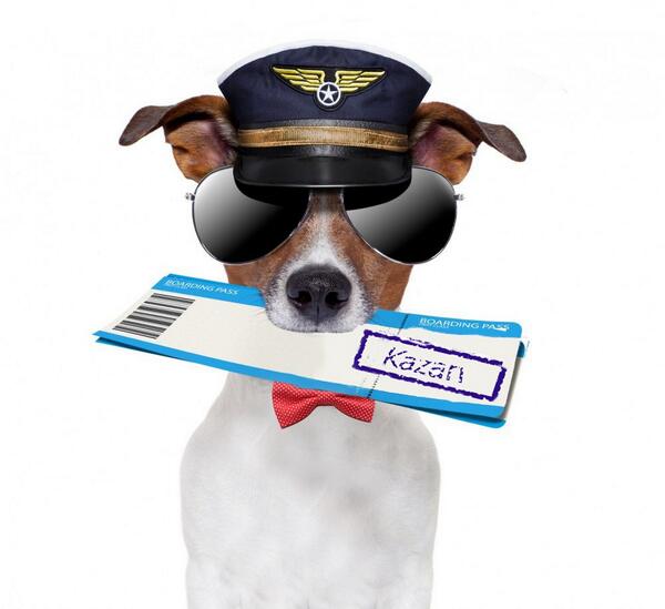 salli_bowties's tweet photo. Уррррра!!! Скоро ГАЛСТУК-БАБОЧКИ SALLI будут и в КАЗАНИ)  
* есть возможность сделать предзаказ http://t.co/8g4uWSnJ27