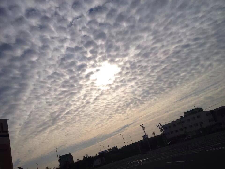 埋め込み画像への固定リンク