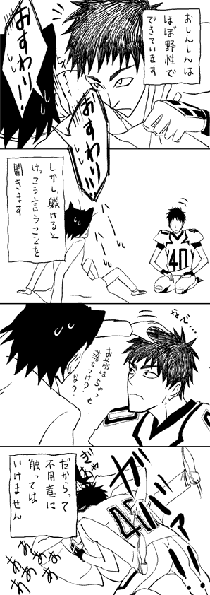 おしんしんの話② 