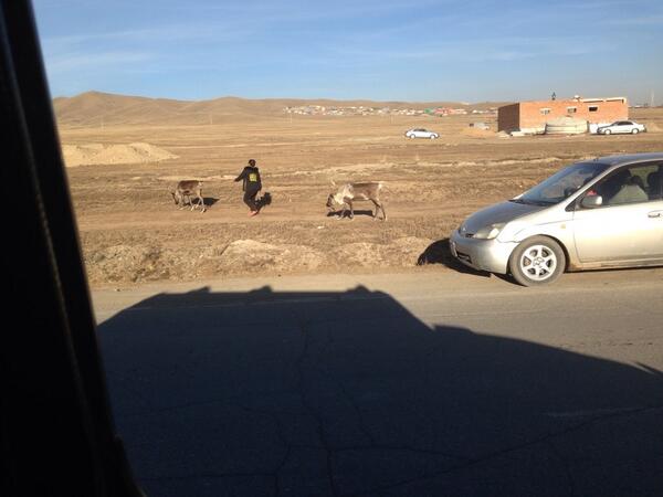 Nairamdald iim amitan bh un