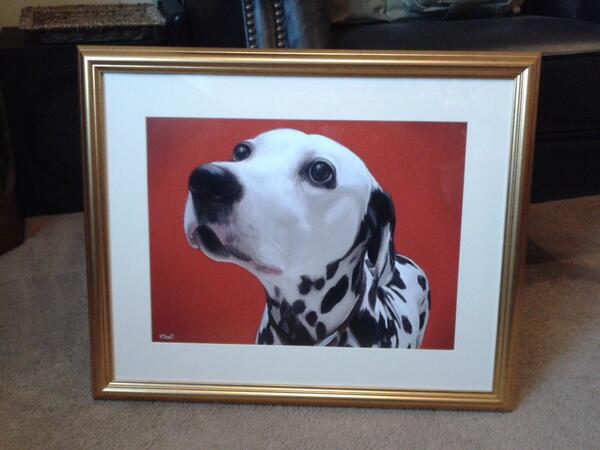 CustardCreate's tweet photo. ...and here is Khulu the Dalmatian framed and ready to hang on a wall so my Aunt can see her every day! #memories http://t.co/OyAoTZH2jp