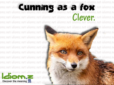 As Cunning as a Fox. Cunning. Fox idioms. Cunning перевод. Переведи fox