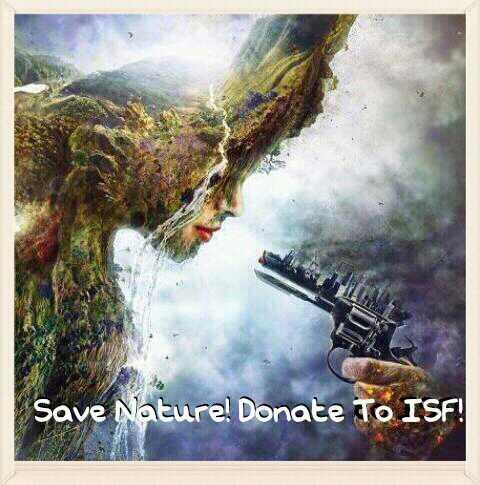 Donate ti ISF!
Also 10$ is not much so everyone can!
Donate here :
~~> isfoundation.com/campaign/ians-…
#SaveNarure&Animals!