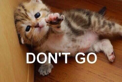 What my bed says to me every morning..