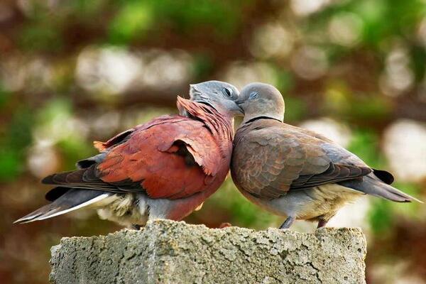 animalspic's tweet photo. http://t.co/6rLoHeQwKa