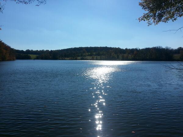 FlickingerSTEM's tweet image. It was a really pretty day for a walk around the lake.