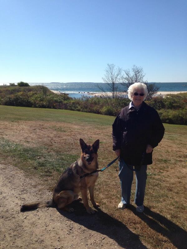 Hurd78's tweet photo. Great nanny and her boy #gsd #harkness http://t.co/SHowOzI1EL