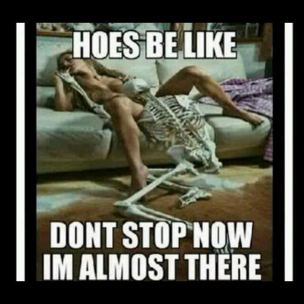 FGOffical's tweet image. 