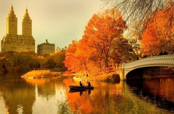 NaturPictures's tweet photo. Otoño en Nueva York. #NecesitoViajarA http://t.co/bazAy8TSkM