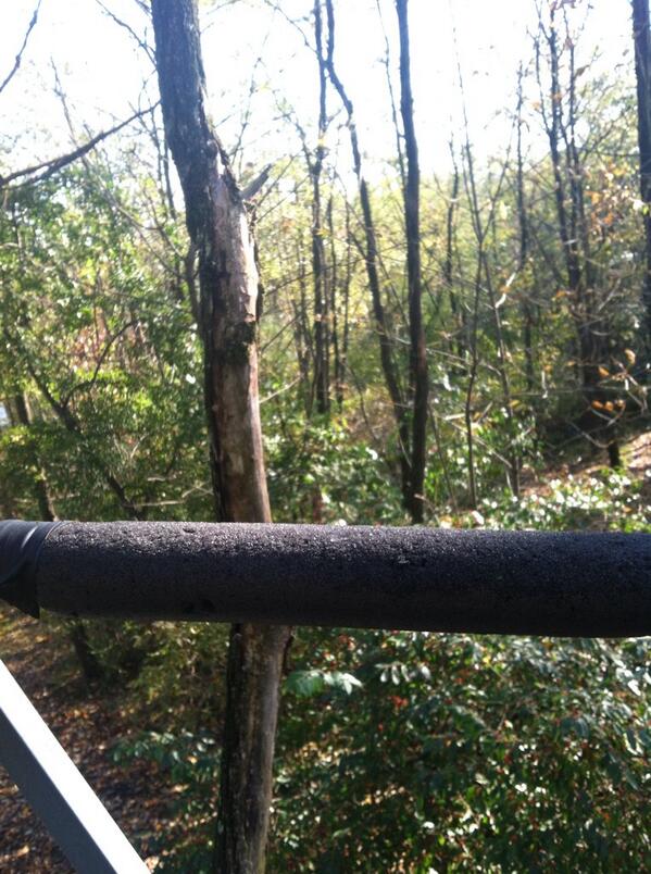 codybylene2015's tweet photo. Sight from this morning in the stand didn't see a thing): http://t.co/oe4NgdiRHn