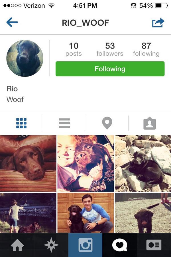 saigecurtis713's tweet photo. This is literally my favorite account on Instagram 😂🐾 @meghess8 @hexiless http://t.co/iJTLQj0Qcy
