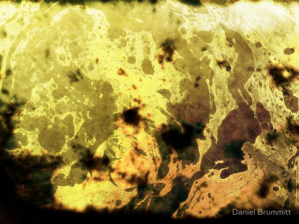 MODerATEdan's tweet photo. YEllow ow oww..not owl! http://t.co/FGiTT0446U via @redbubble #RT4Follo #BuyArtOnline #PHILOSOSAUR #TFB #TFBJP http://t.co/UiJ8oQFn6D