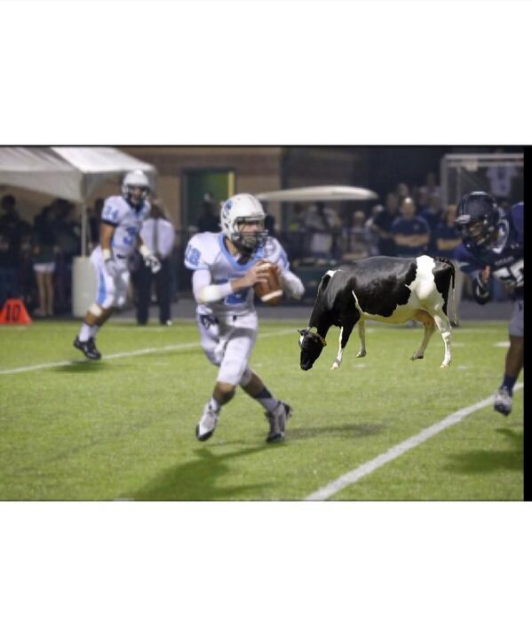 Hoofin it out there with Brian MOOre