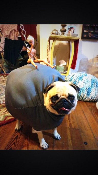 Watch Jerry's leaked NSFW photo on TwXstars