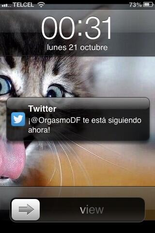 jorgitzimo's tweet photo. Mientras tu me ignoras @OrgasmoDF me sigue!! Y no miento jajajaja http://t.co/Rq1ilFDVsU