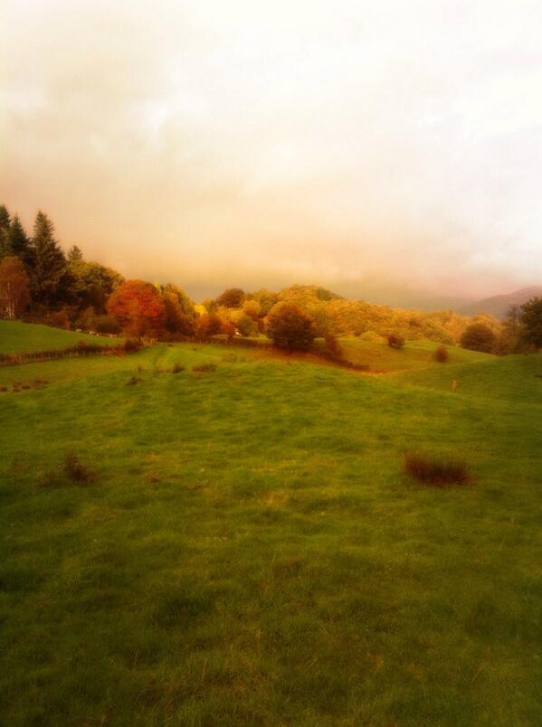 outgateinn's tweet photo. Autumn well under way..back of the pub yesterday http://t.co/c612BEEkEX