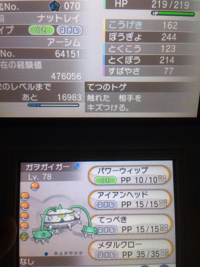 ポケットモンスターxy 色違いポケモン攻略 報告画像集 17 49 Renote リノート