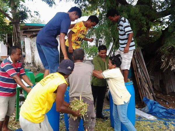 Foto - Teknologi pengawetan pakan ternak untuk "mengakali" musim kemarau yang panjang di NTT .
