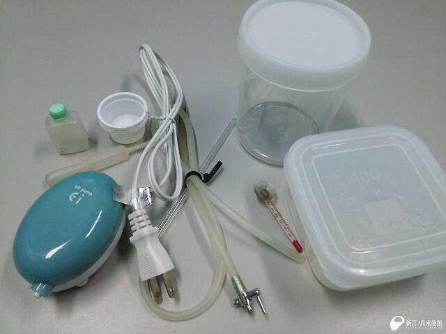 新江ノ島水族館 ミニ飼育セットを借りて クラゲを自宅で飼育してみることができますよ 11月に開催 参加申込み受付中 スペシャルワークショップ Pc Http T Co Rk264l4fr6 携帯 Http T Co 33hvhwijto Http T Co Leaziipjjs Twitter