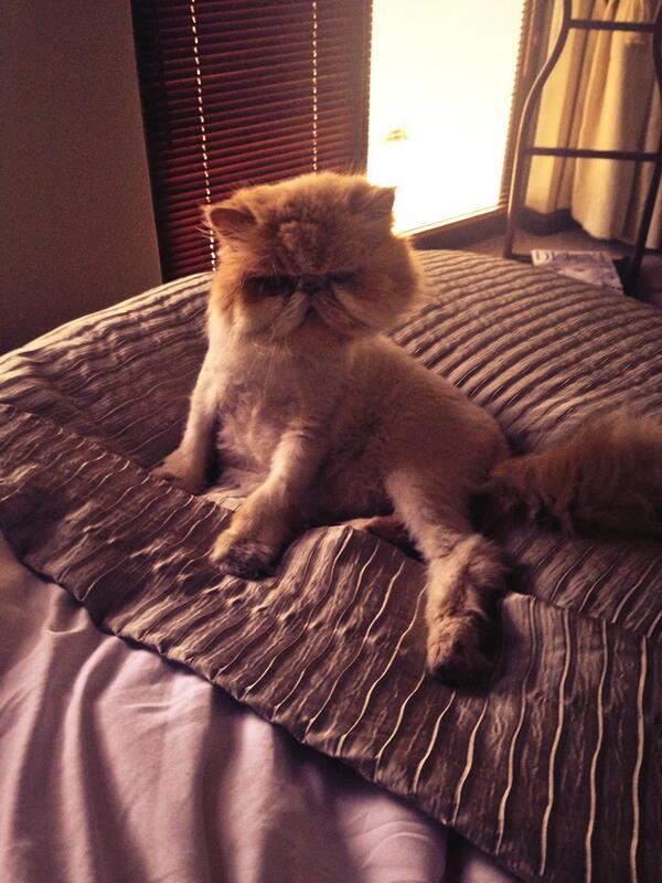 Taylor Lourens tweet media