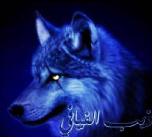 سلطان خالد عبيد (@u_kald) on Twitter photo 