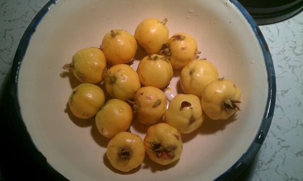 Çamoluk ve yöresinde yetişen yabani meyve Aluç. Tadını hatırlayanlar fav ve reetwetlesin ltf.