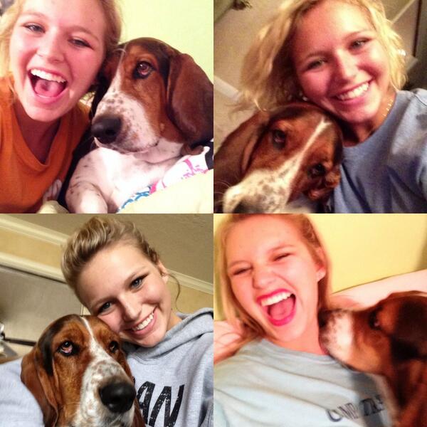 lizzieholtmyer tweet picture