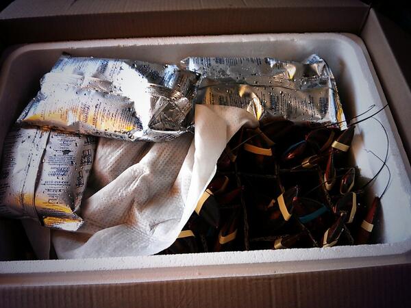 dedewei's tweet image. 笑眼看风云,
微笑迎商机；
沉思解问题，
闭眼思未来。